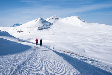 Winterwandern in der Schweiz (c)FlimsLaax Philipp Ruggli