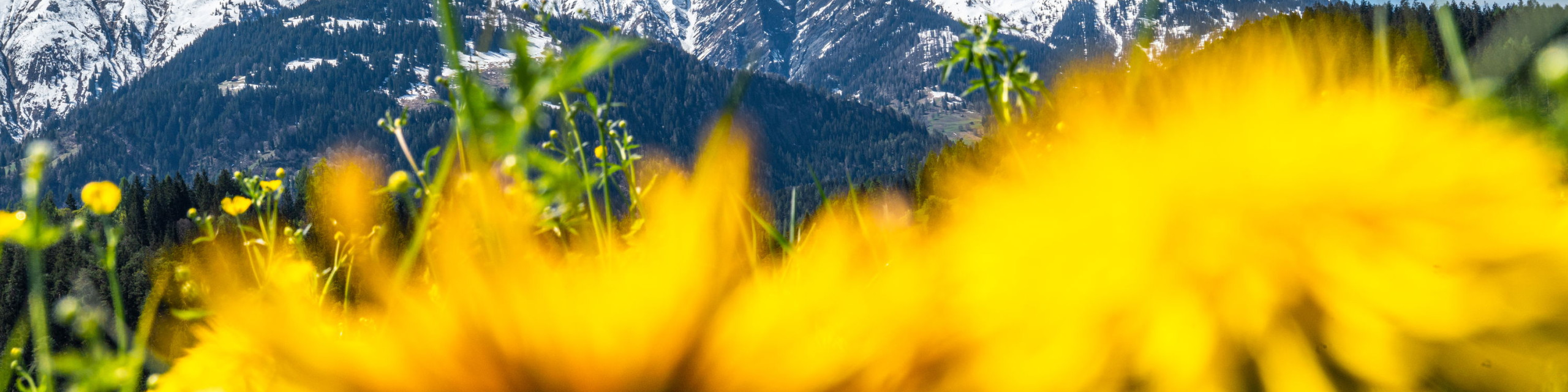 Frühling in Flims Laax, Hotel Bellevue